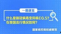 亚精产品二三三区视在线,探索创新科技的魅力